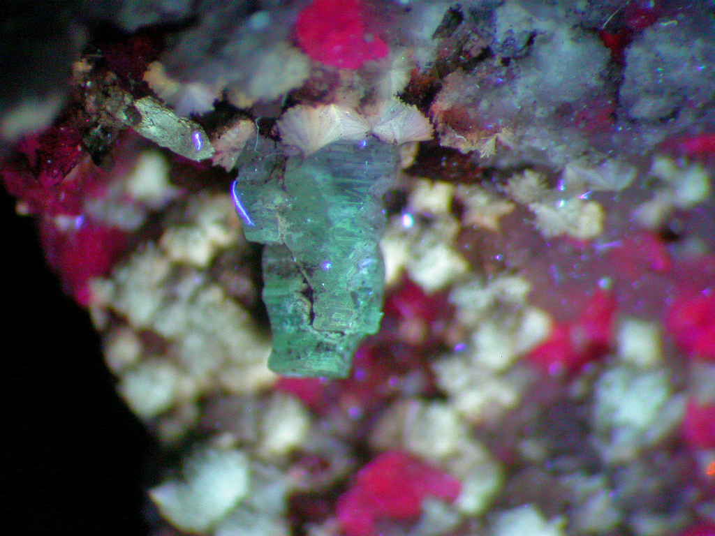 Weloganite & Dresserite