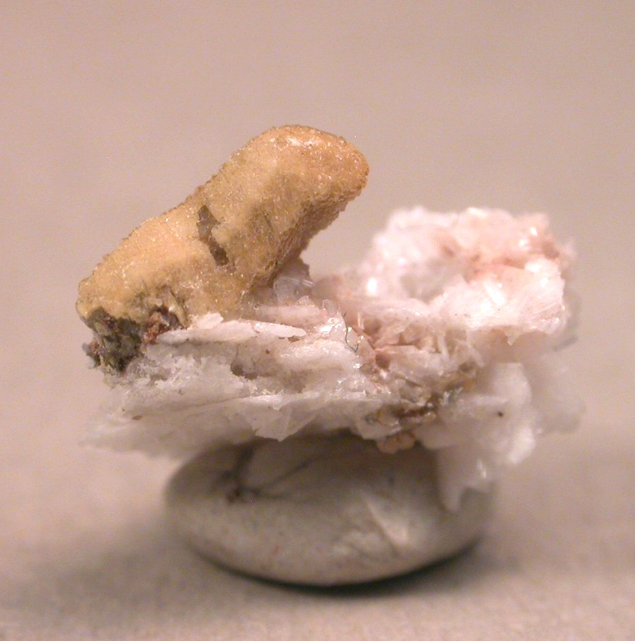 Alicewilsonite-(YCe)