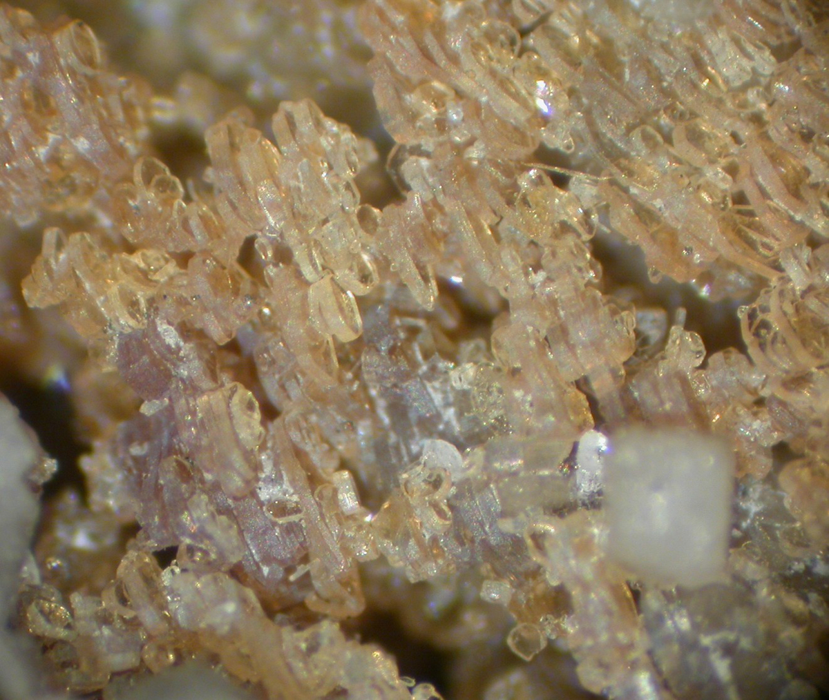 Bastnäsite-(Ce) & Gmelinite-Na