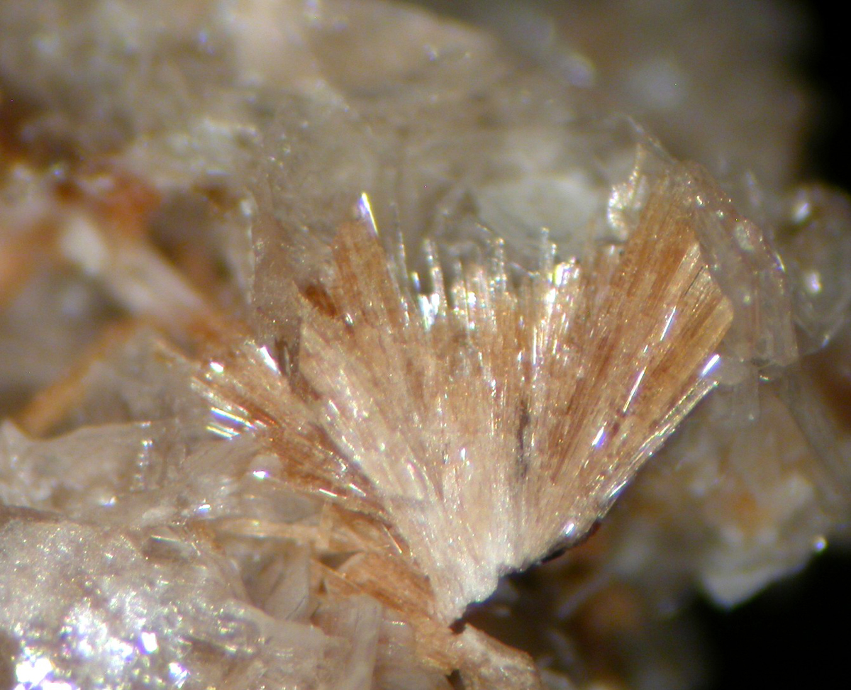 Bussyite-(Ce) & Catapleiite