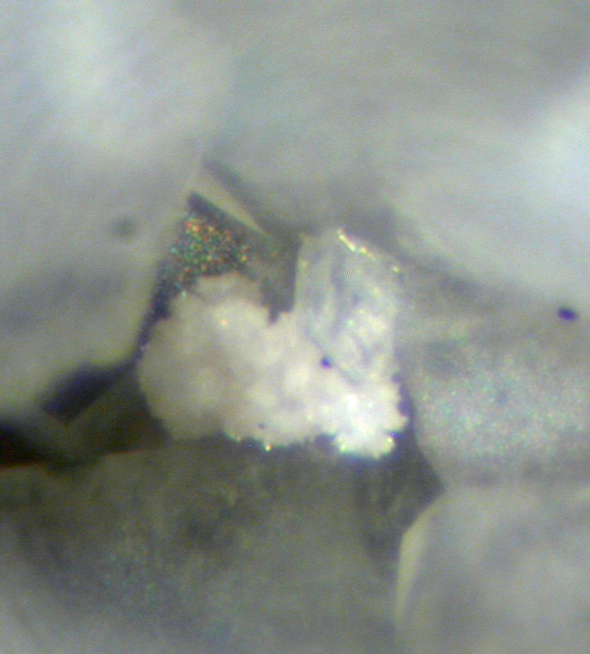 Charleshatchettite & Donnayite-(Y)