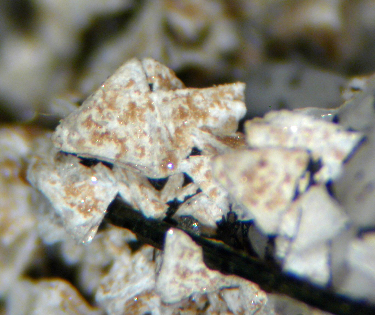 Eudidymite & Genthelvite