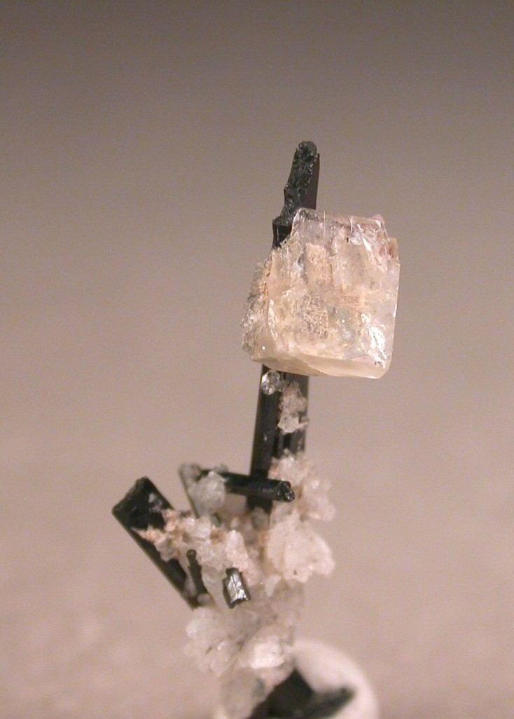 Leucophanite Epididymite Ancylite-(Ce) & Aegirine