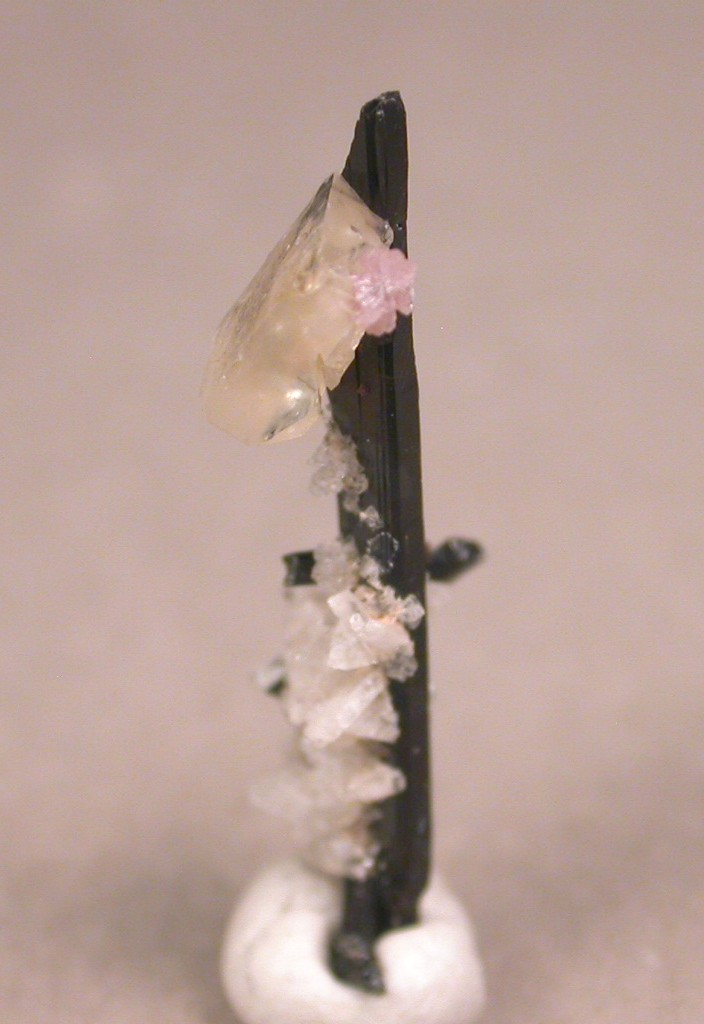 Leucophanite Epididymite Ancylite-(Ce) & Aegirine