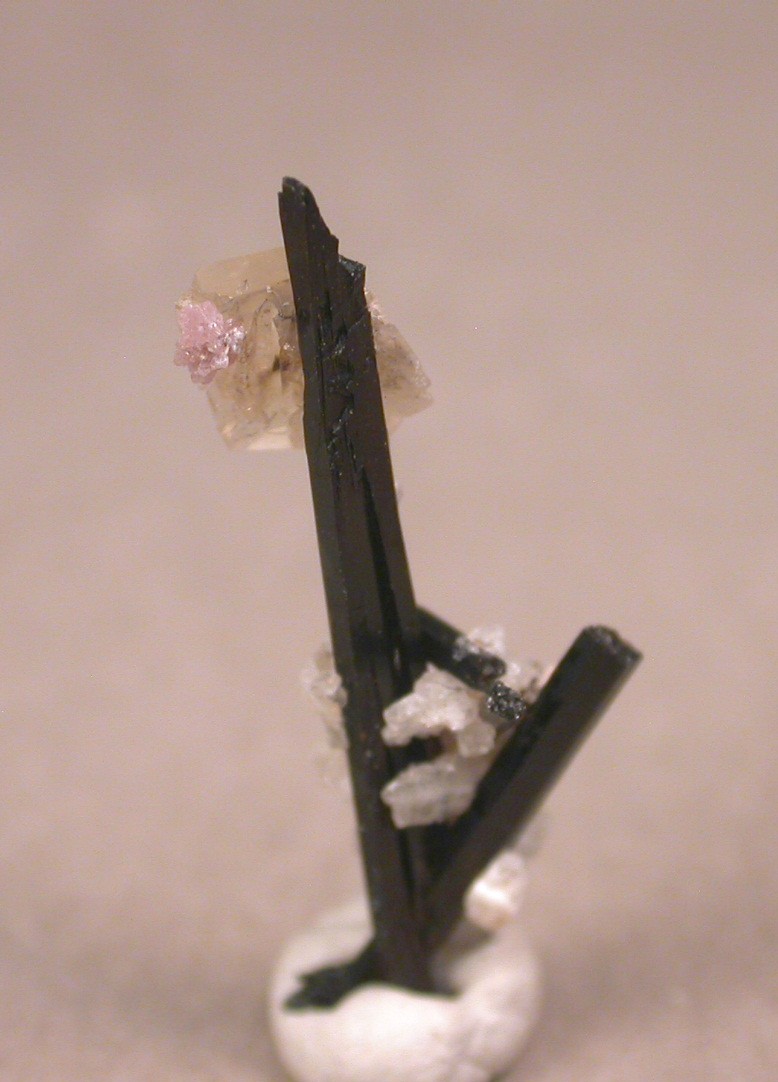 Leucophanite Epididymite Ancylite-(Ce) & Aegirine