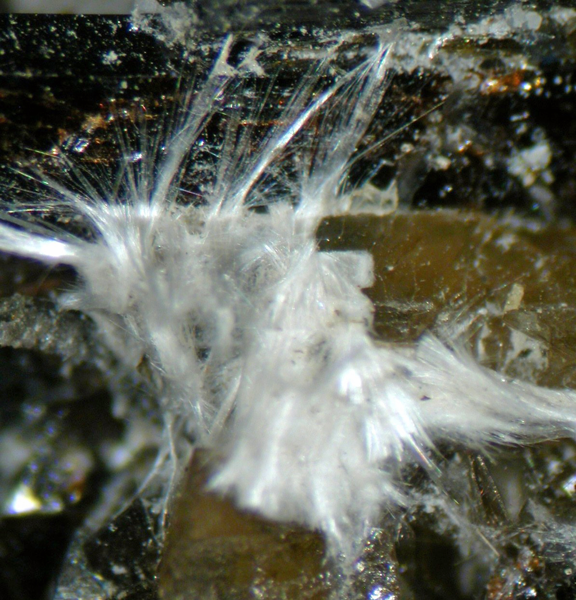 Niveolanite Petersenite-(Ce) & Franconite