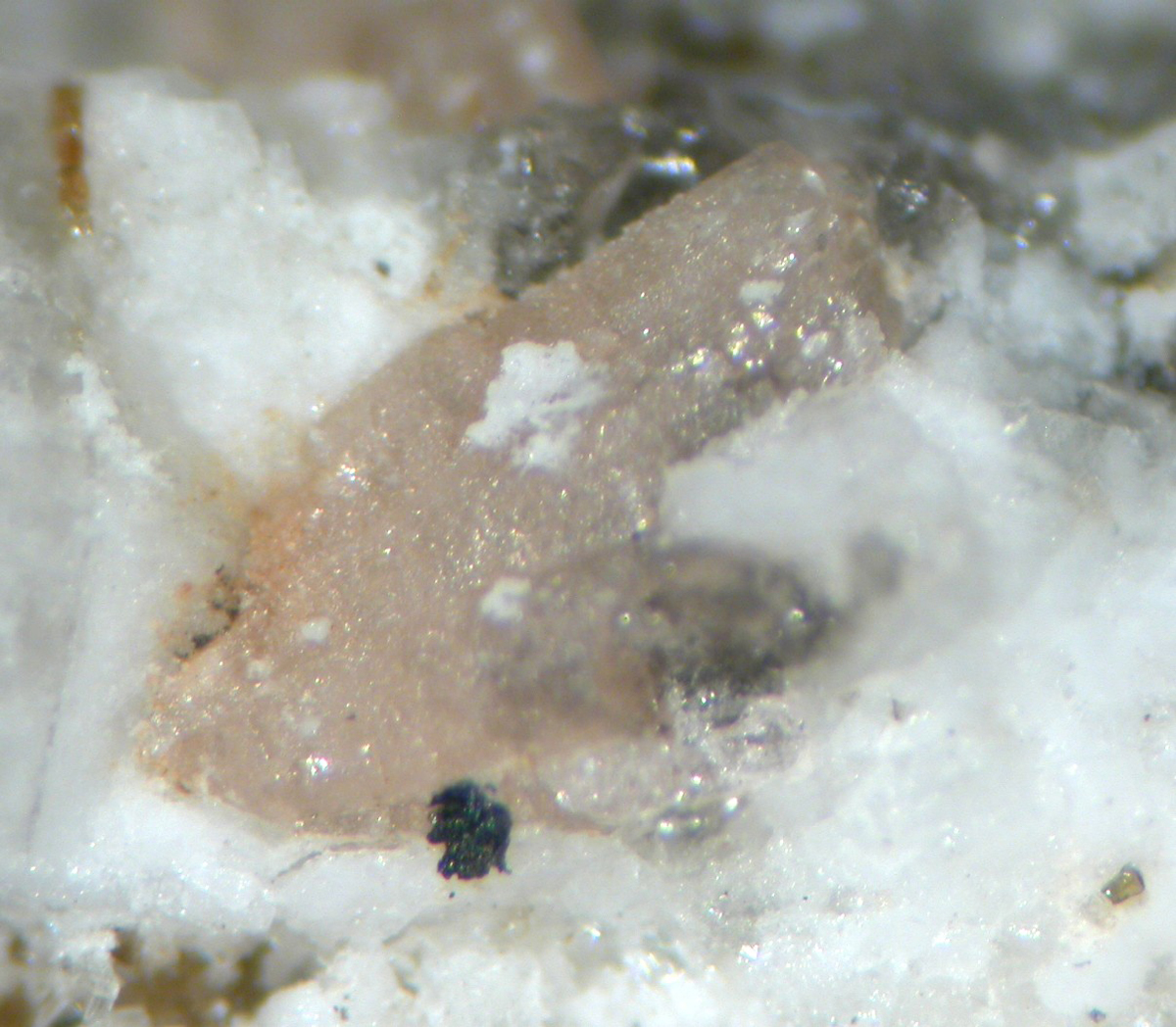 Niveolanite Petersenite-(Ce) & Franconite