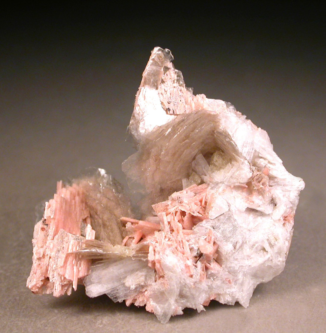 Polylithionite Schizolite & Leucophanite