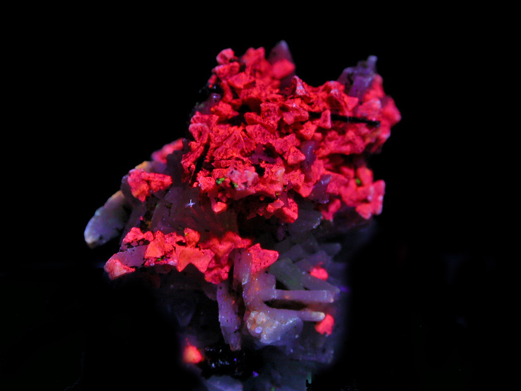 Eudidymite & Genthelvite