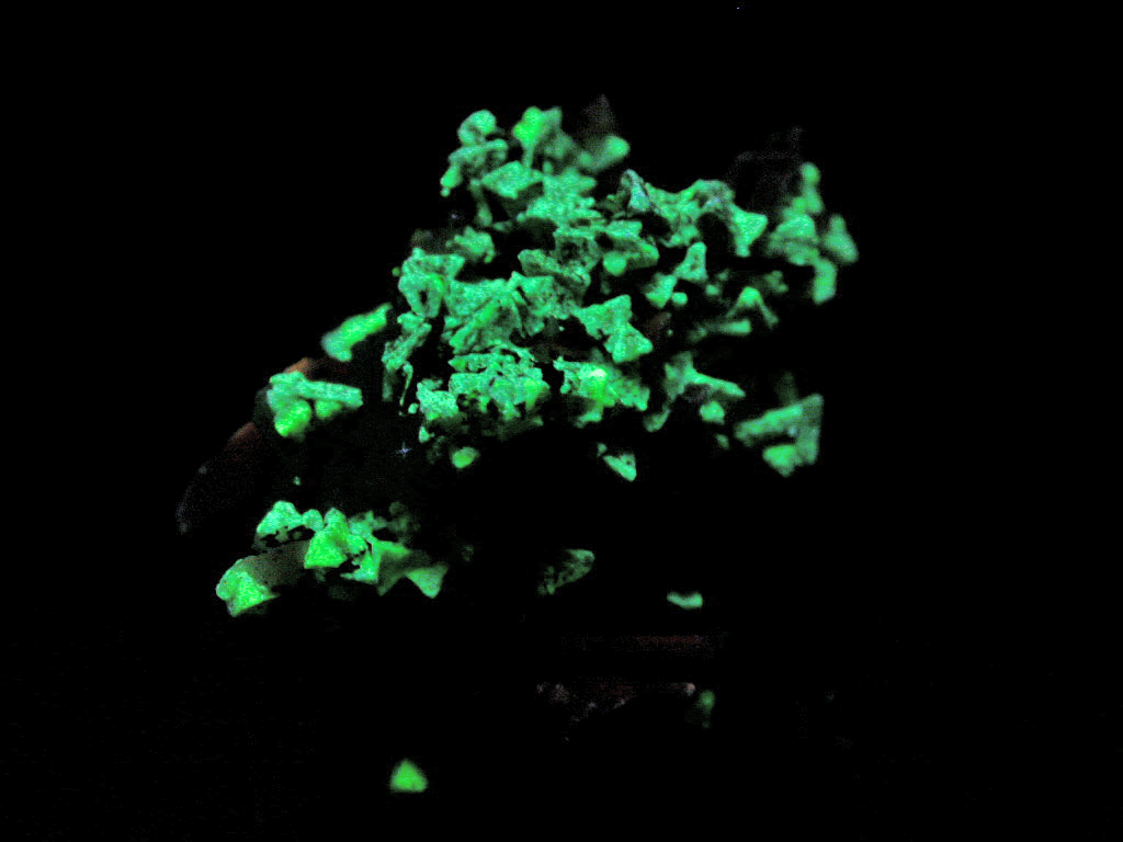 Eudidymite & Genthelvite