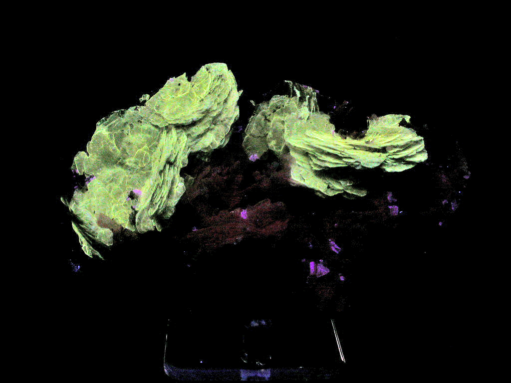 Polylithionite Schizolite & Leucophanite