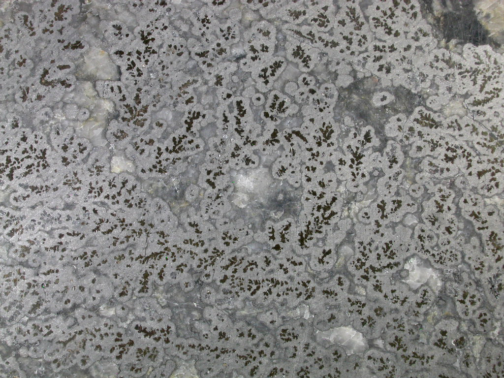 Silver & Skutterudite