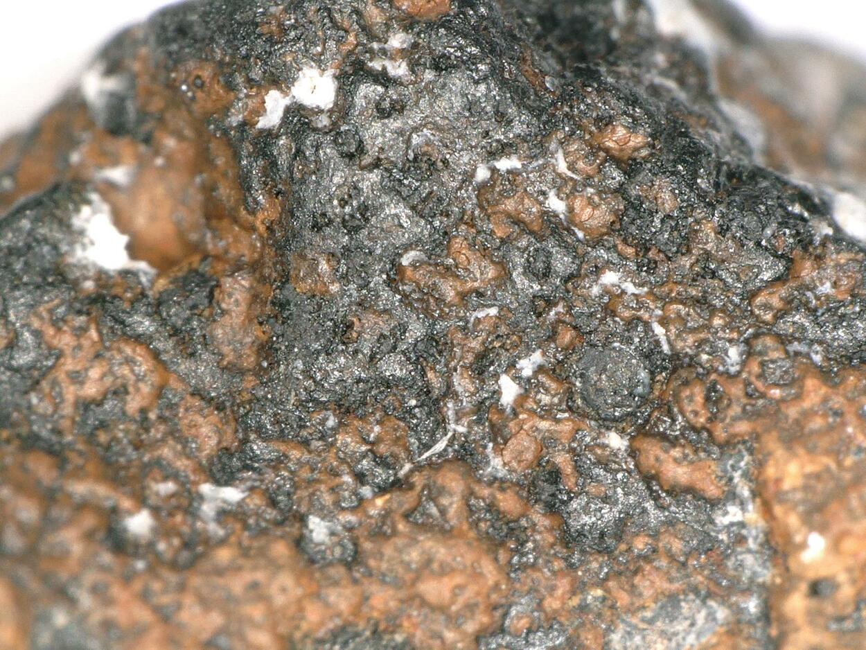 Nioboixiolite-(Fe3+)