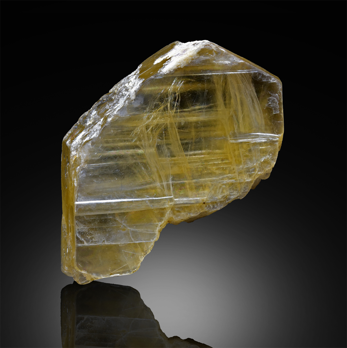 Phlogopite