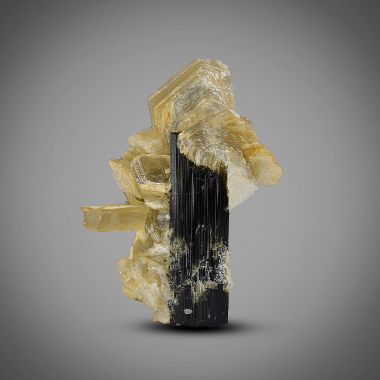 Tourmaline With Muscovite