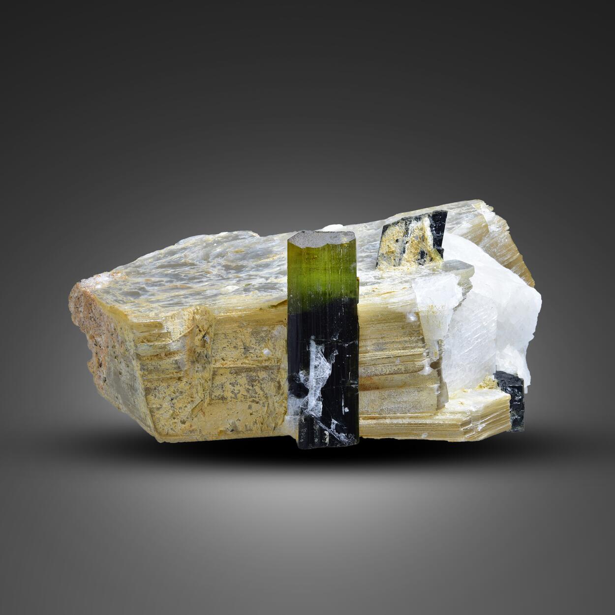 Tourmaline With Muscovite