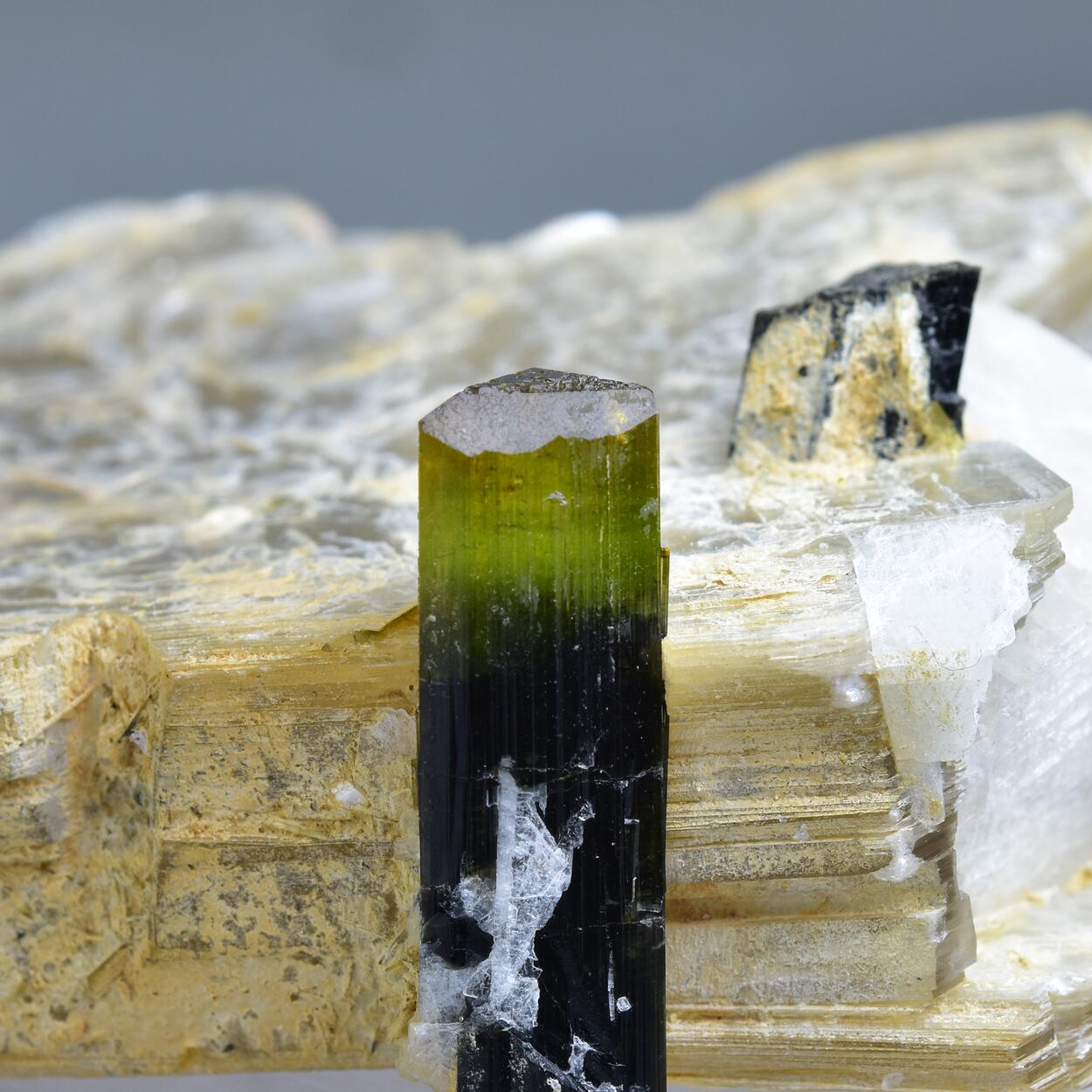 Tourmaline With Muscovite