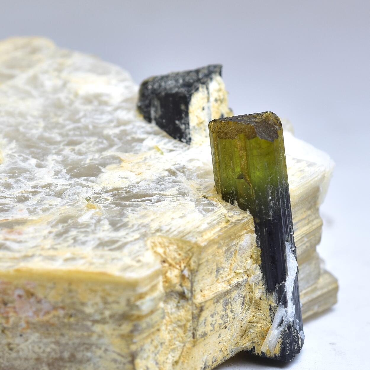 Tourmaline With Muscovite