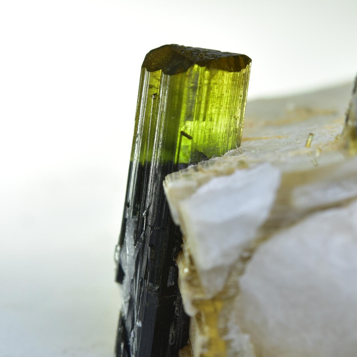 Tourmaline With Muscovite