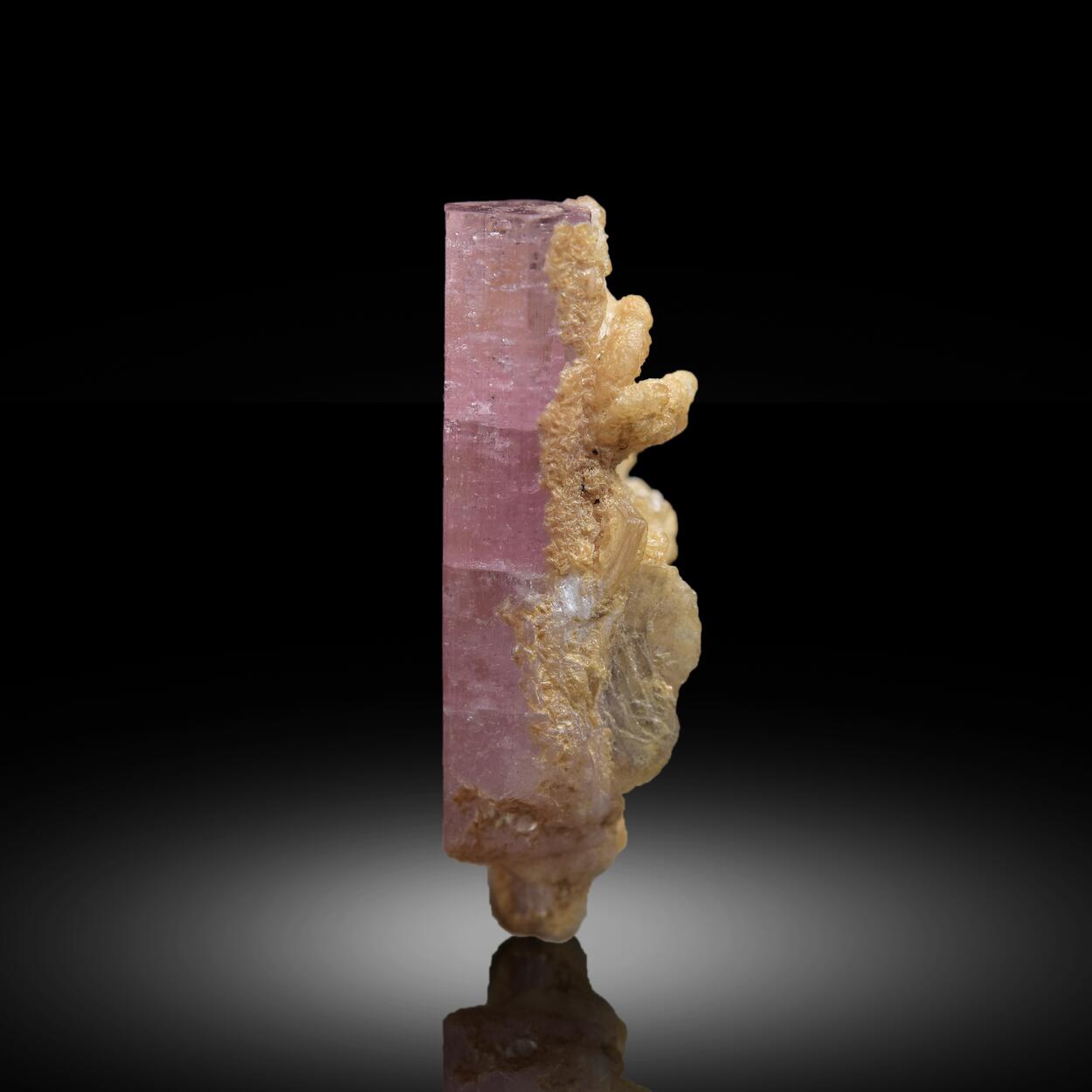 Fluorapatite