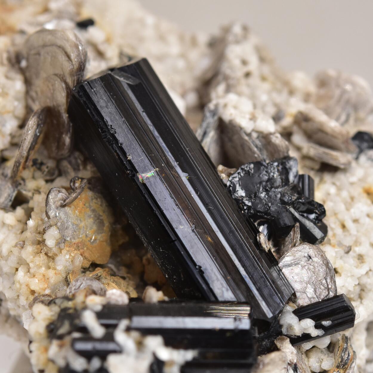 Schorl With Muscovite