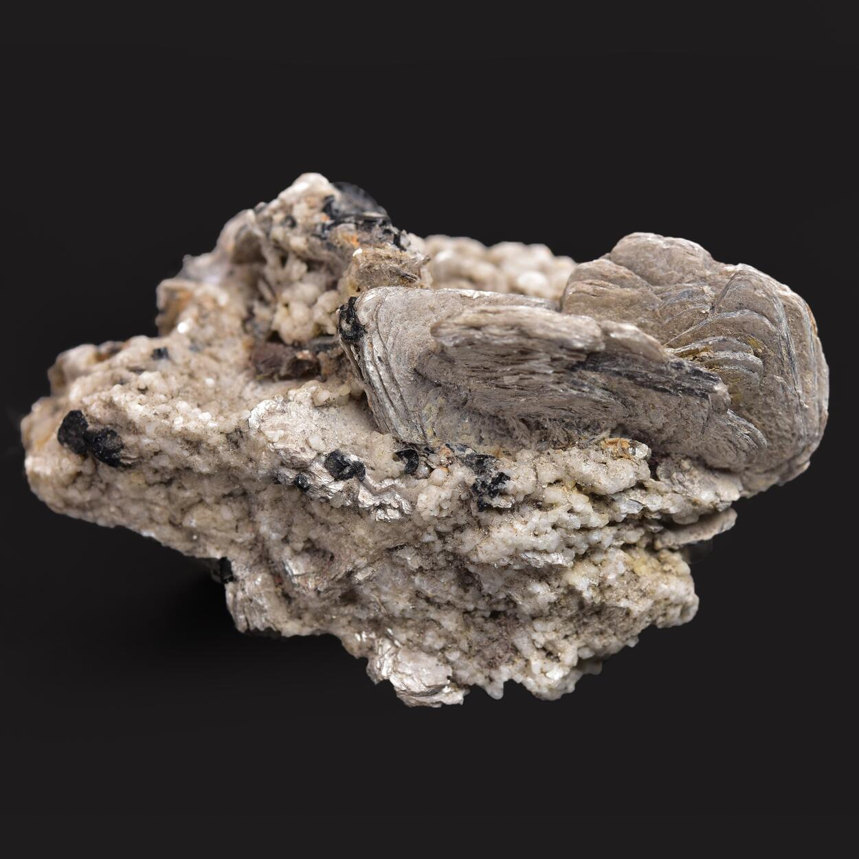 Schorl With Muscovite