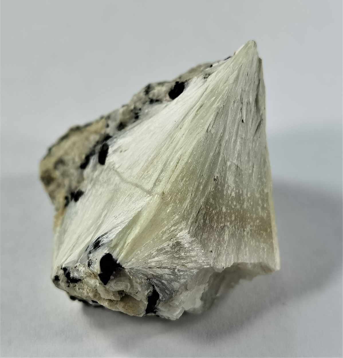 Pectolite & Julgoldite-(Fe2+)