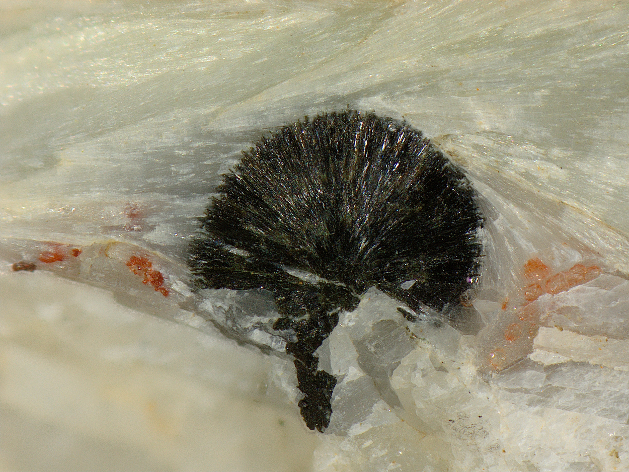 Pectolite & Julgoldite-(Fe2+)