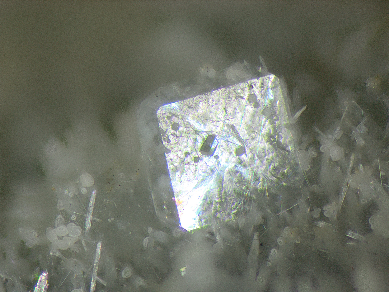 Fluorapophyllite-(K)