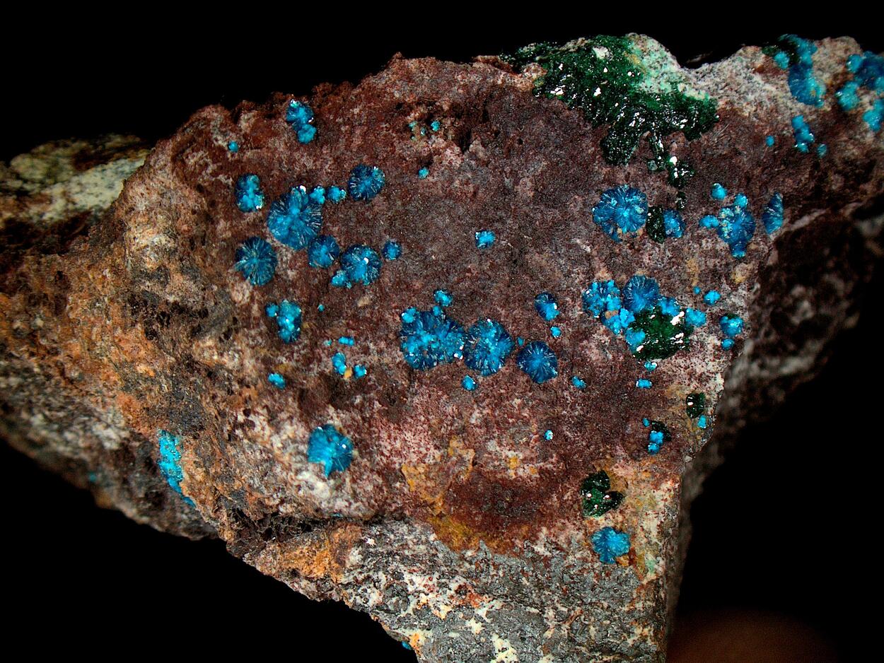 Sampleite & Atacamite