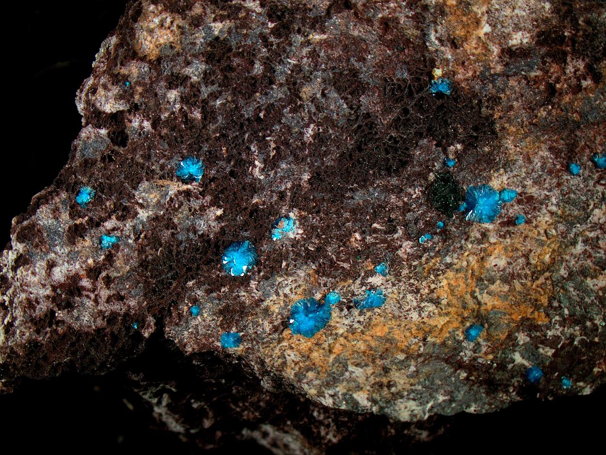 Sampleite & Atacamite