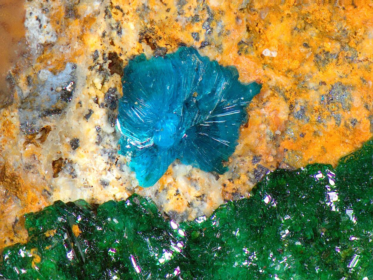 Sampleite & Atacamite