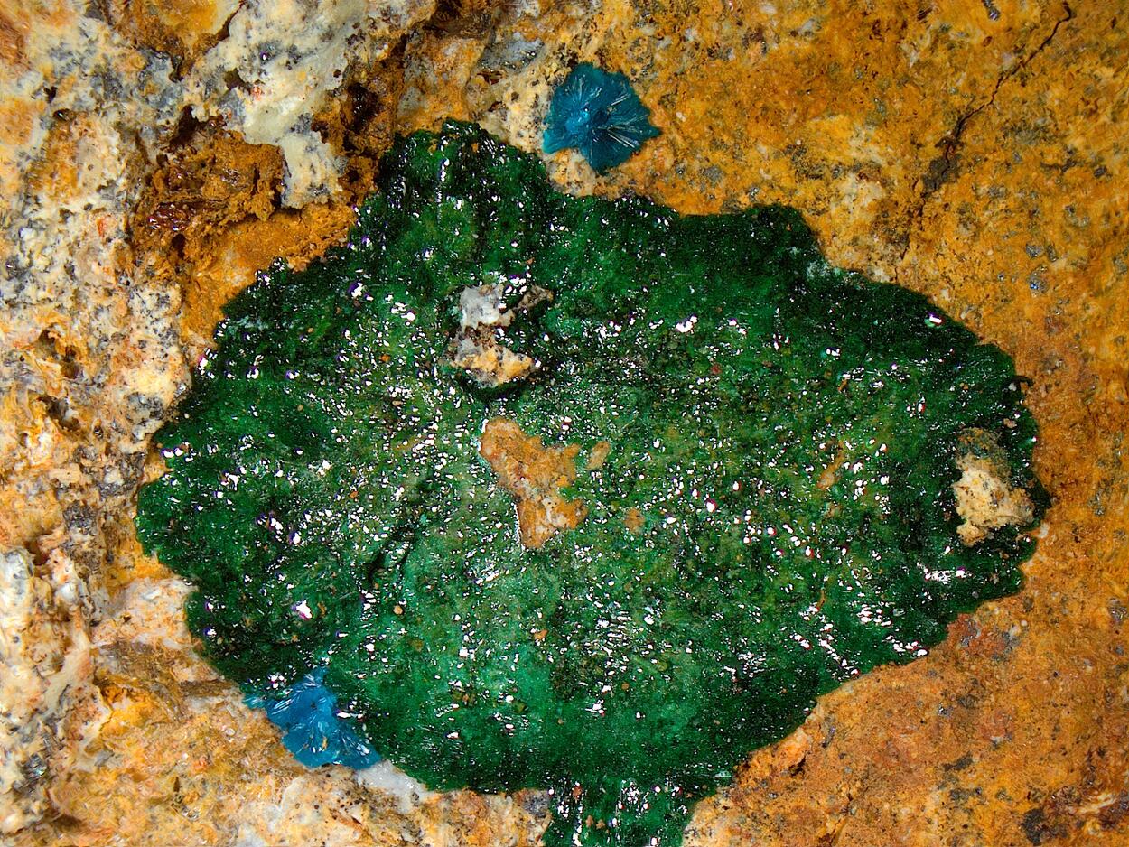 Sampleite & Atacamite