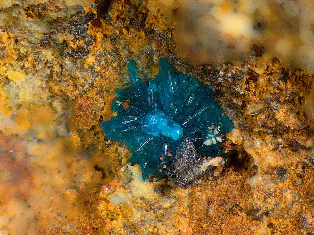 Sampleite & Atacamite