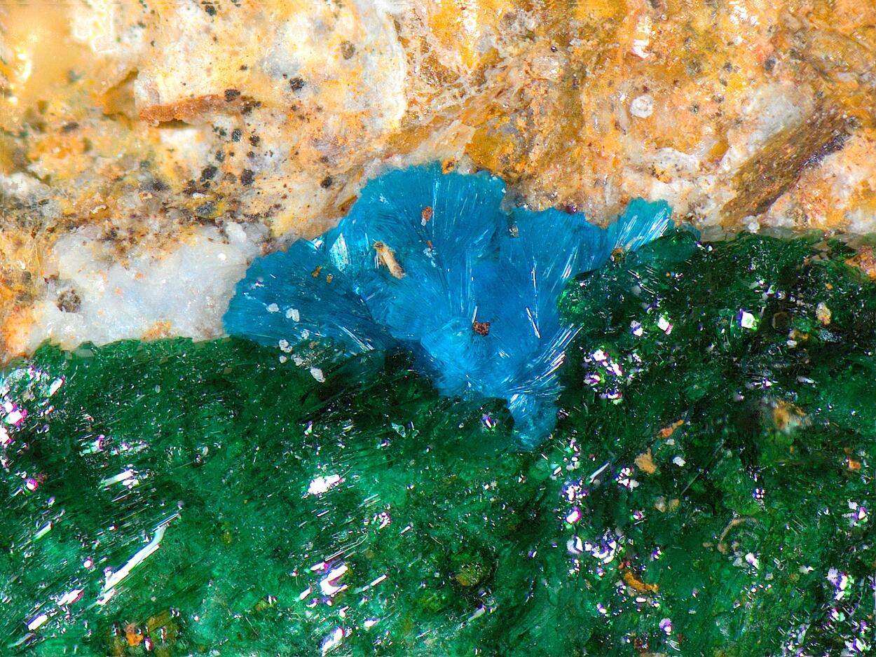 Sampleite & Atacamite