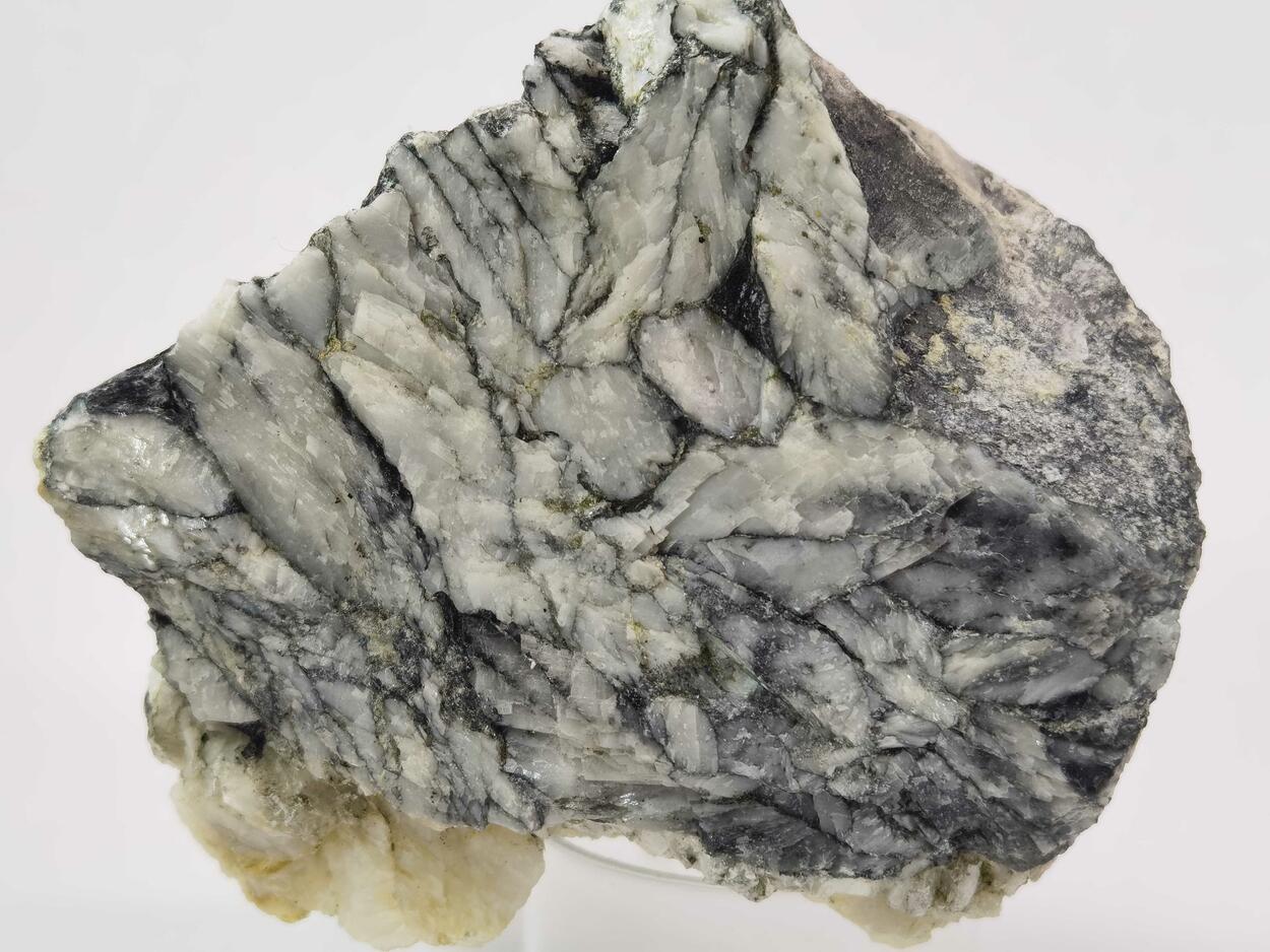 Talc & Magnesite Var Pinolite