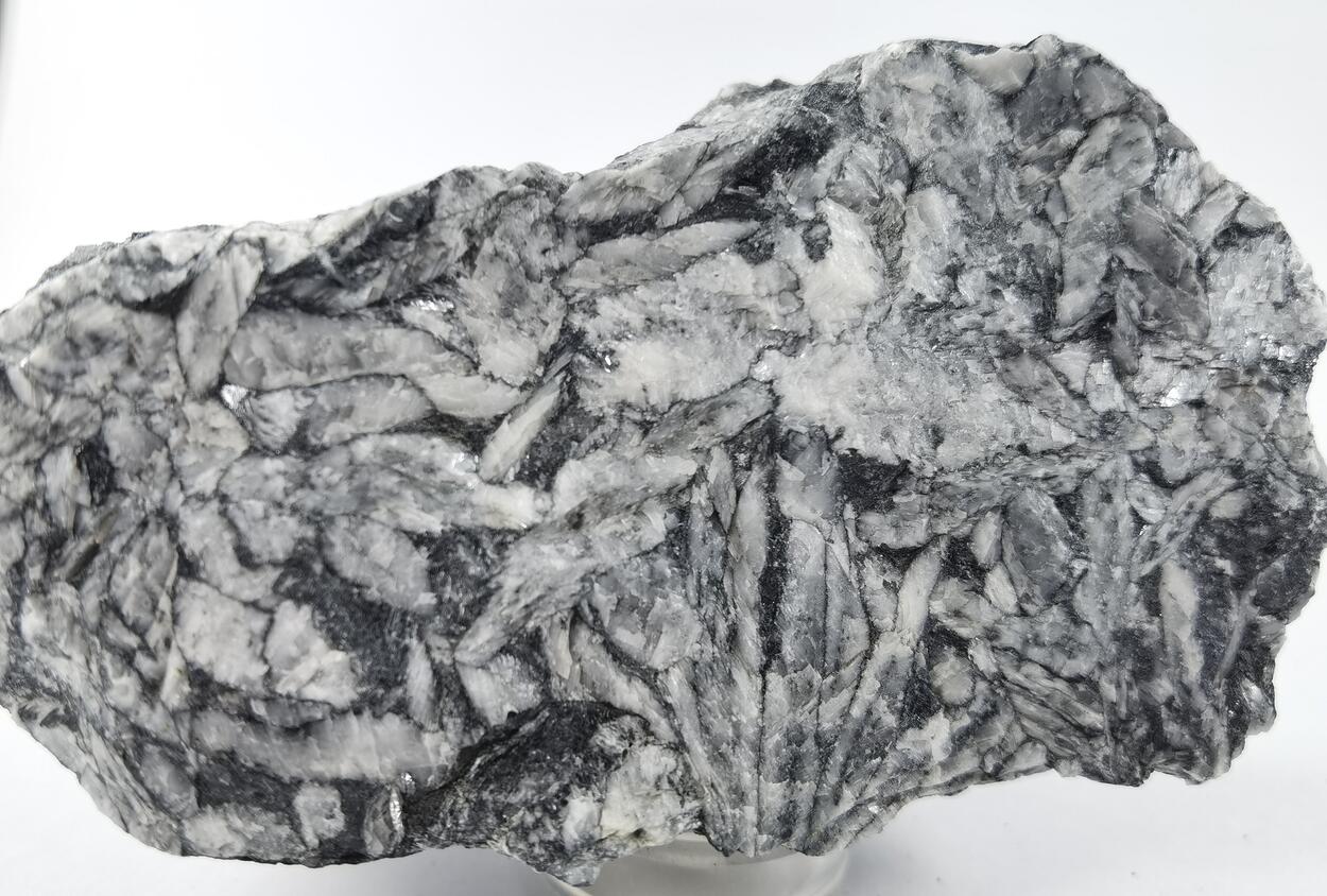 Magnesite Var Pinolite