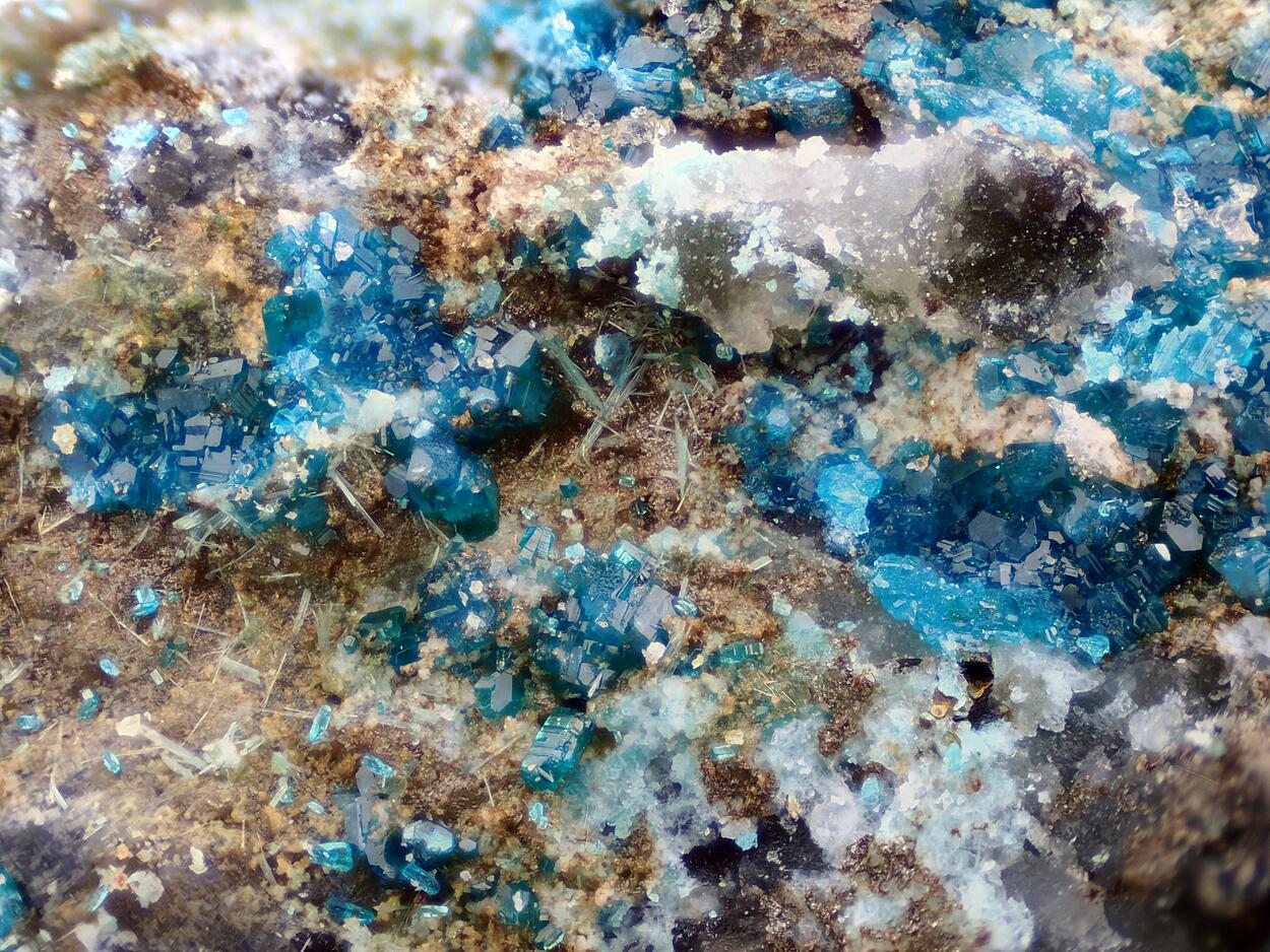 Haydeeite & Atacamite