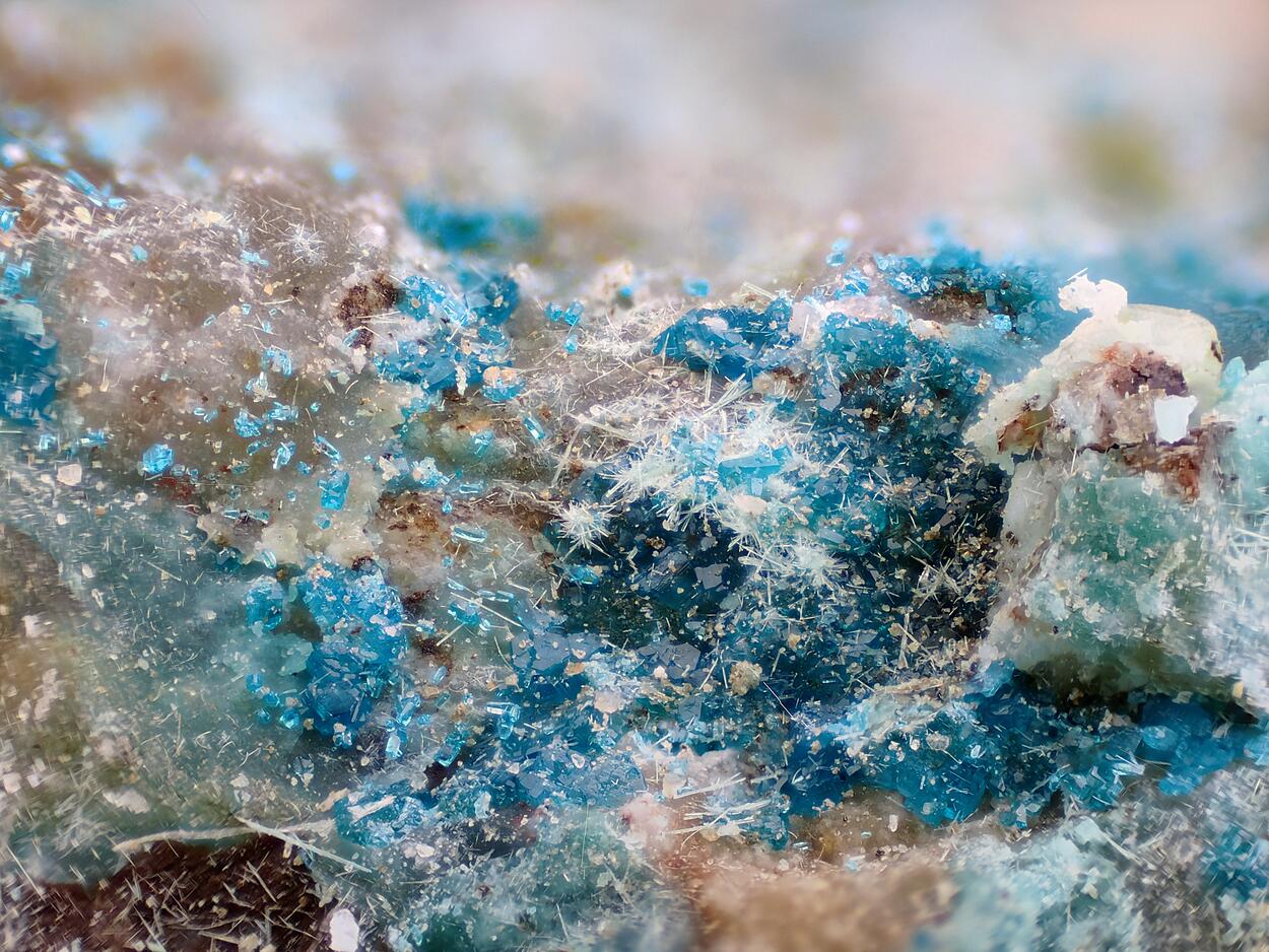 Haydeeite & Atacamite