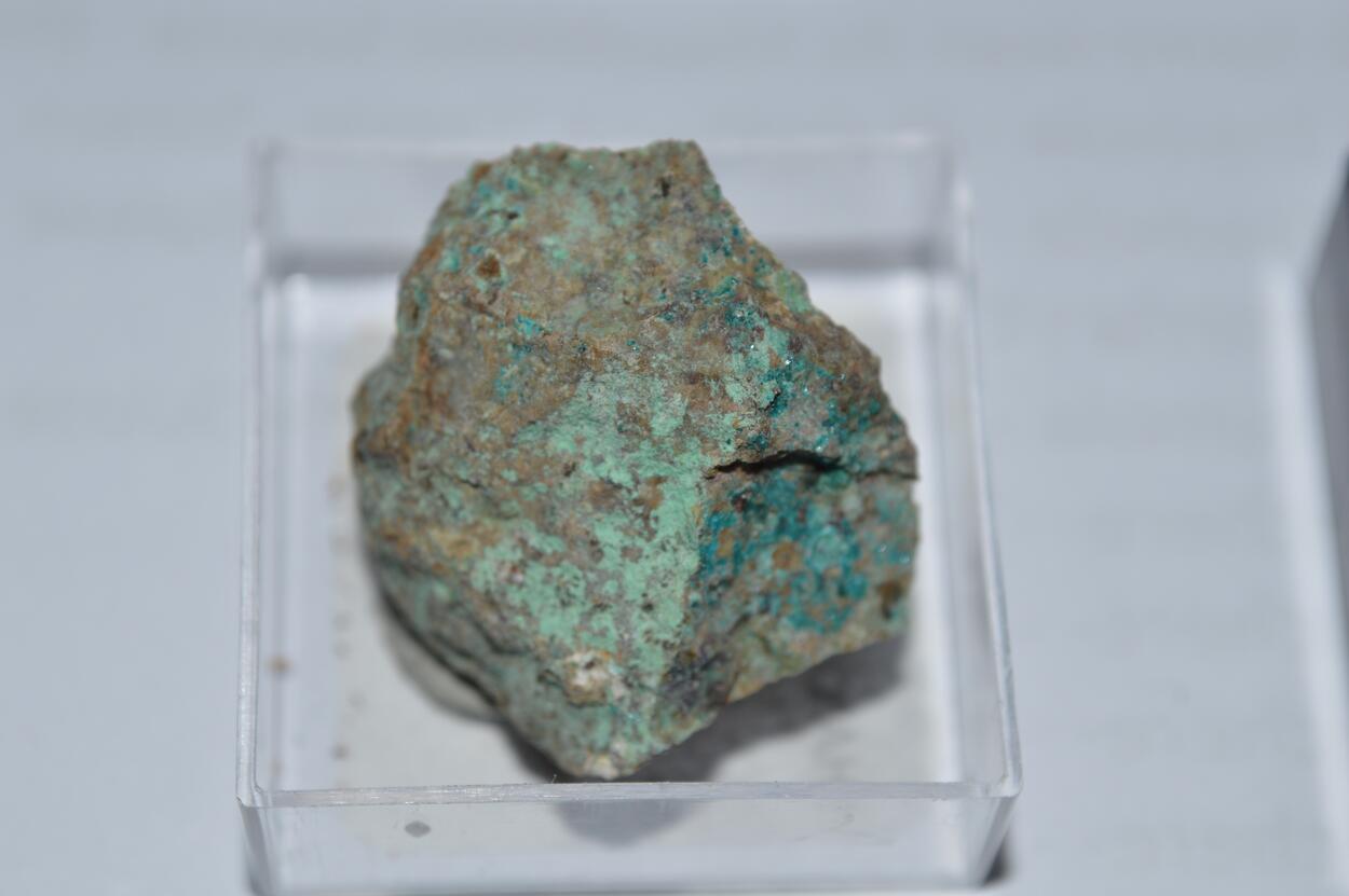 Haydeeite & Atacamite