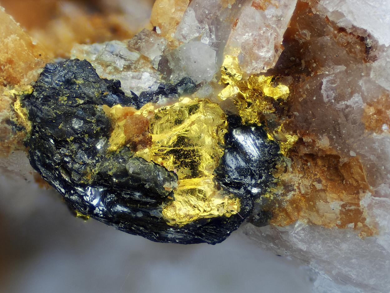 Gold & Tetradymite