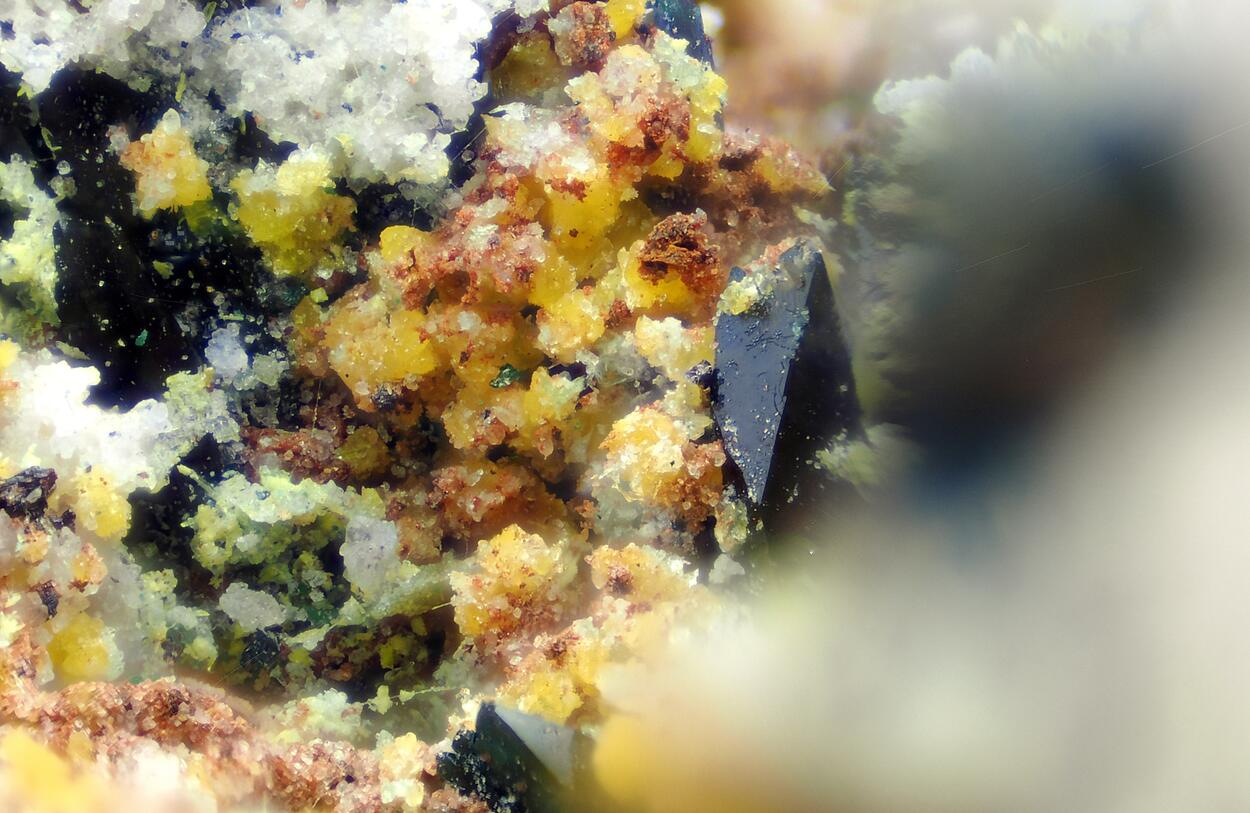 Vandenbrandeite & Guilleminite