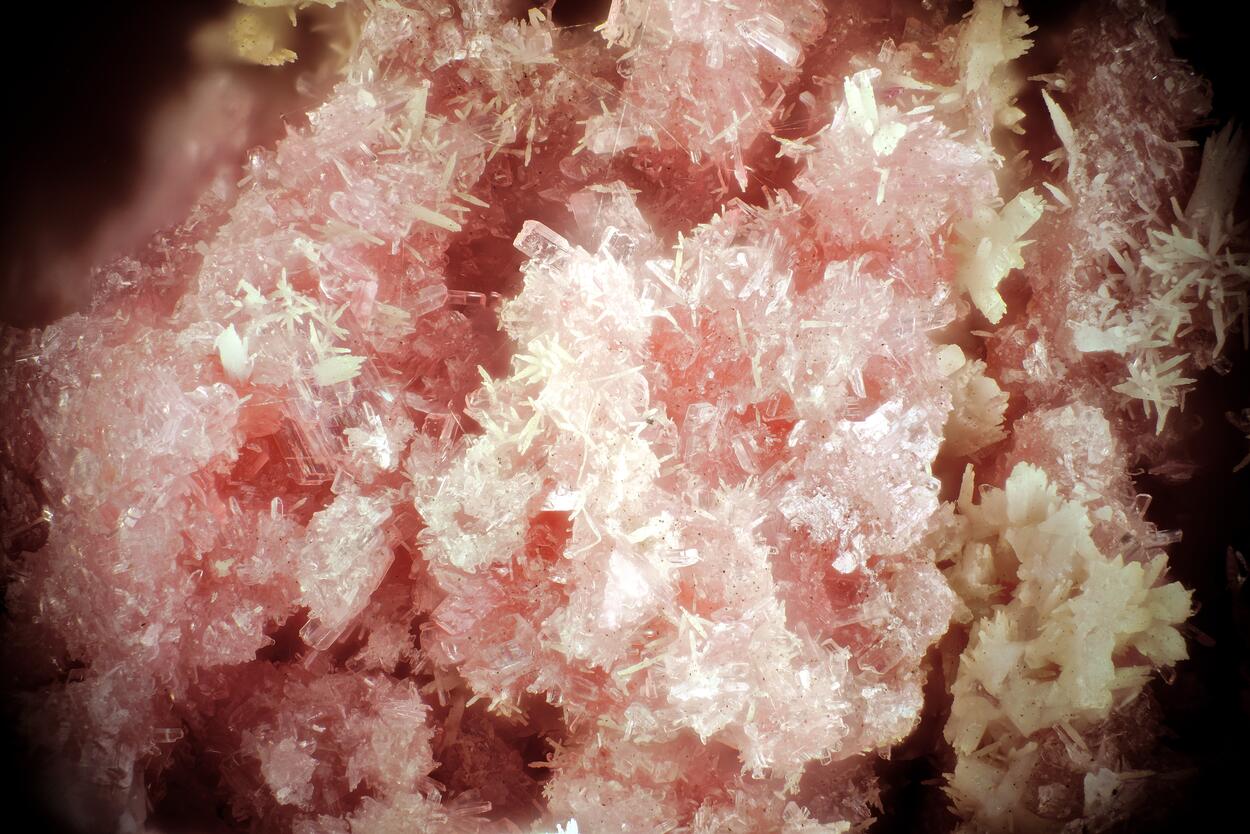 Rhodonite