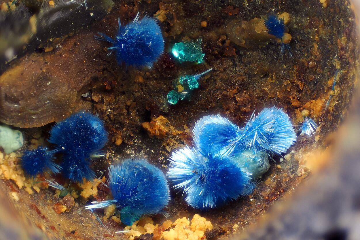 Connellite Cuprite & Spangolite