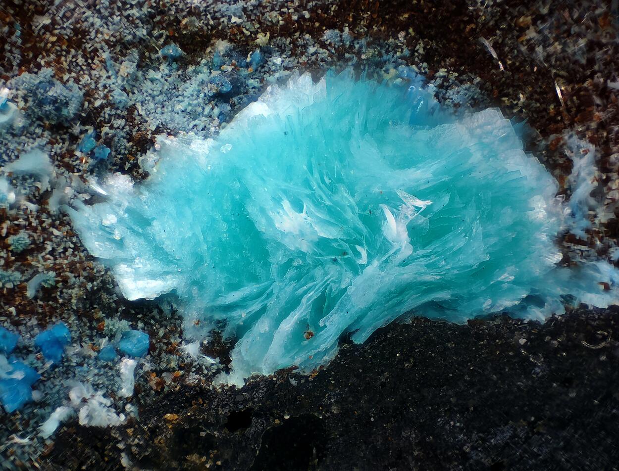 Schulenbergite & Langite