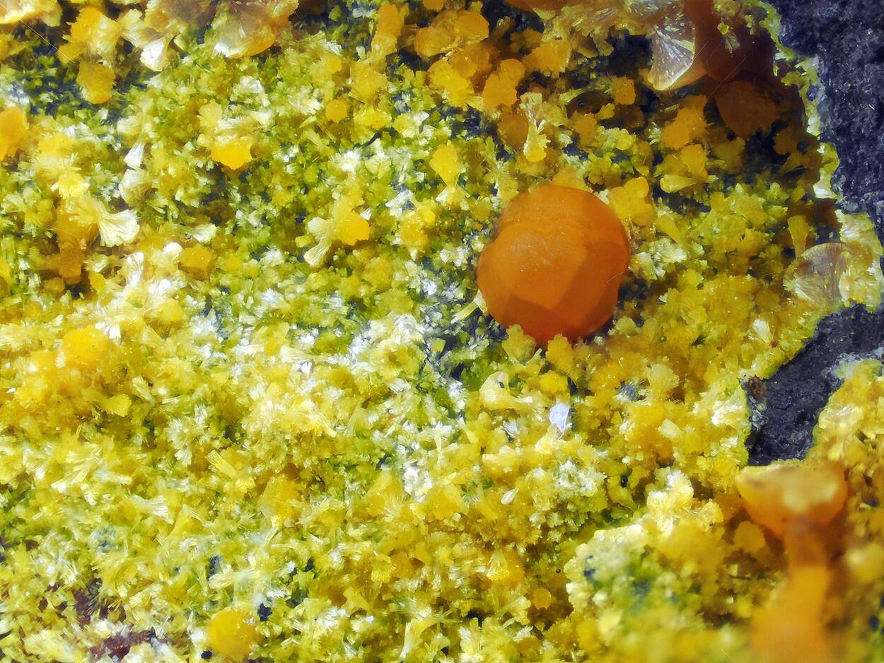 Beraunite Cacoxenite