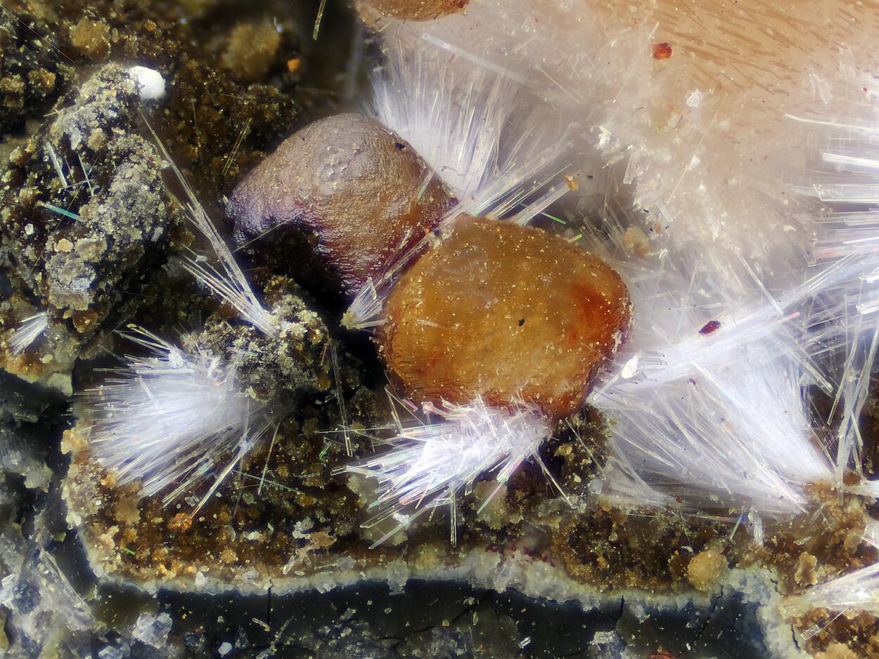 Aragonite Phillipsite & Siderite