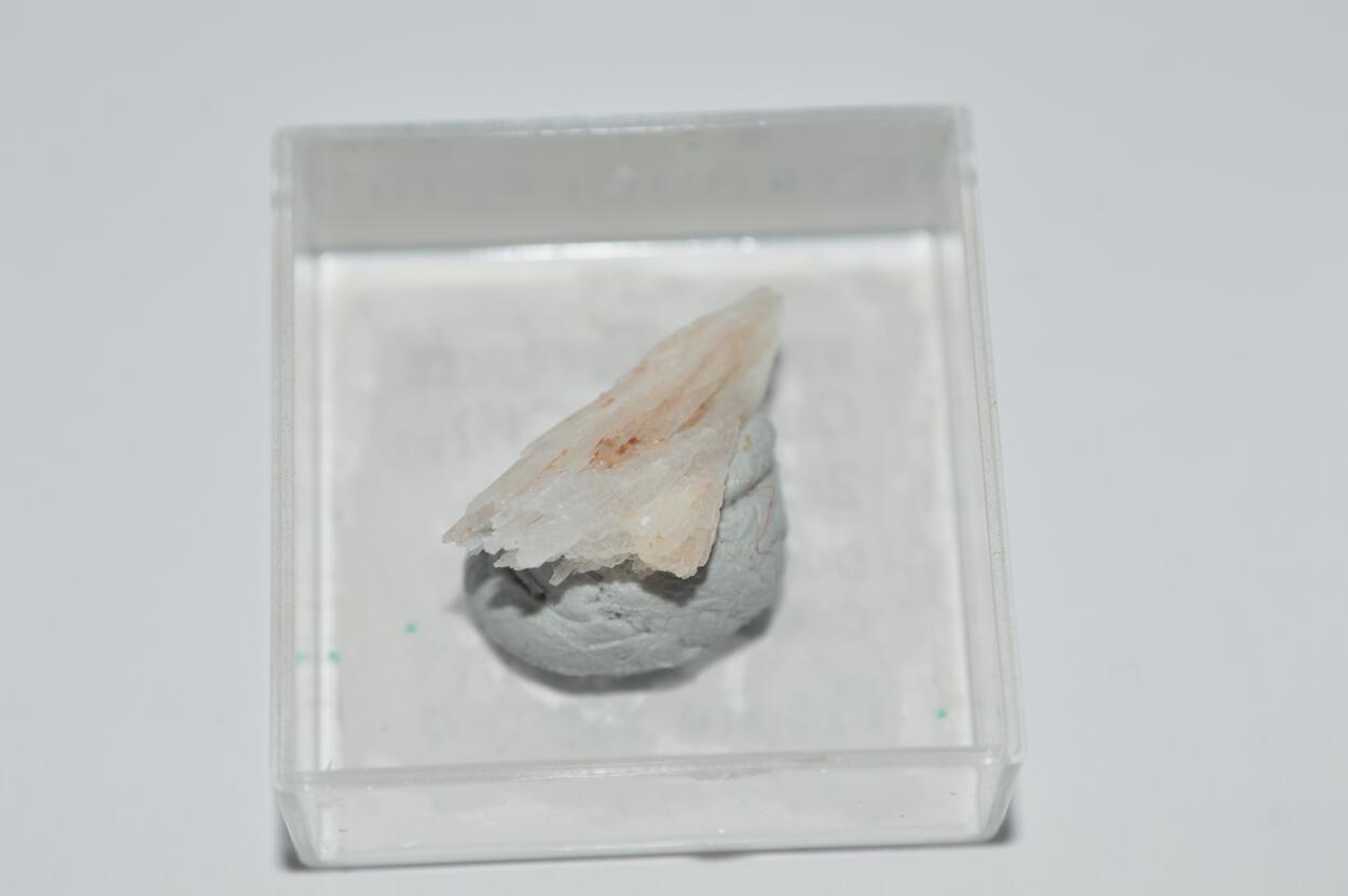 Meyerhofferite