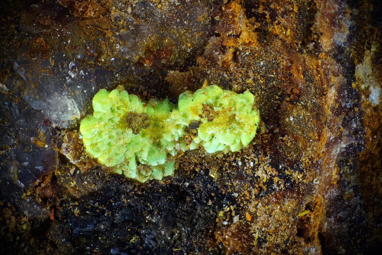 Torbernite & Phosphuranylite