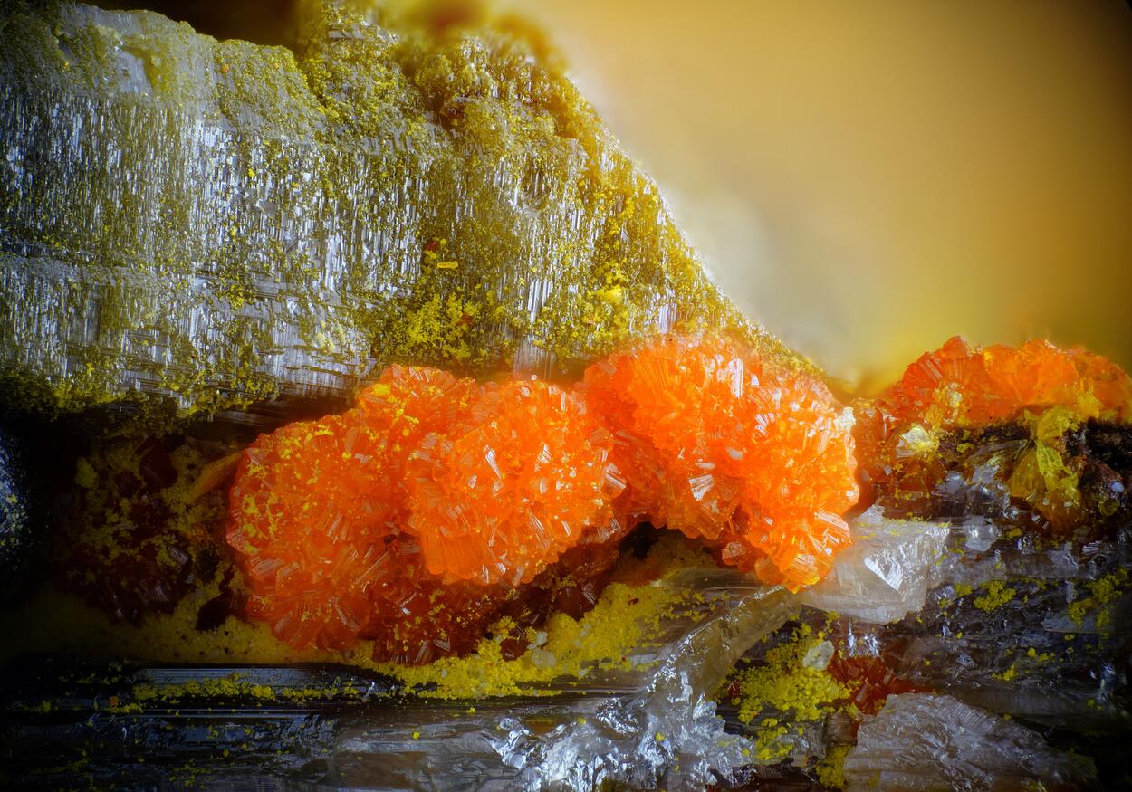 Chervetite Francevillite & Curienite